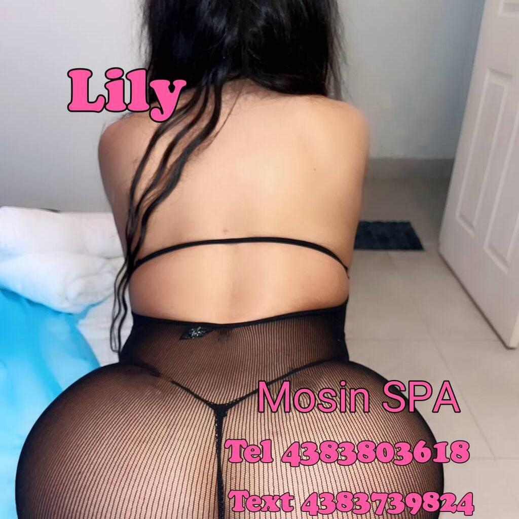 mosin is Female Escorts. | Quebec City | Quebec | Canada | canadatopescorts.com 