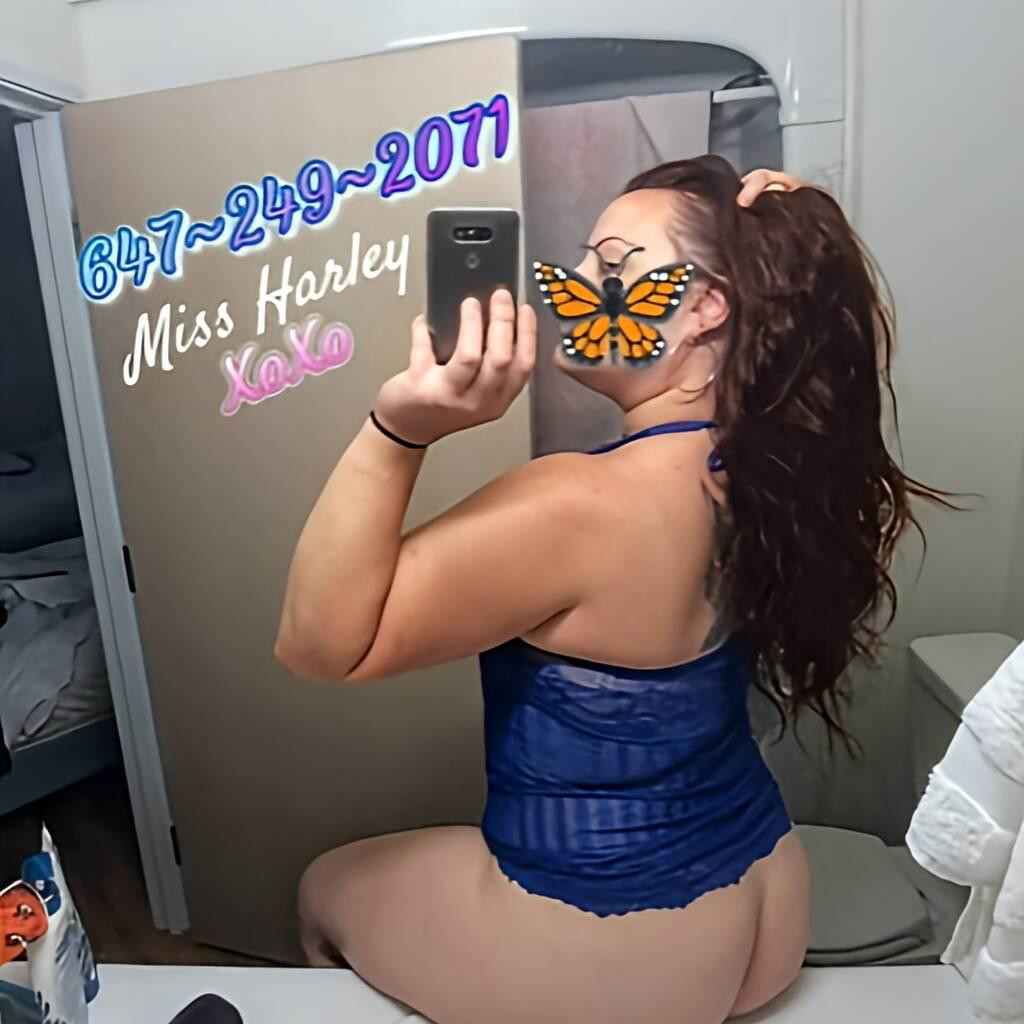 Miss Harley - Pls Read Ad is Female Escorts. | Barrie | Ontario | Canada | canadatopescorts.com 