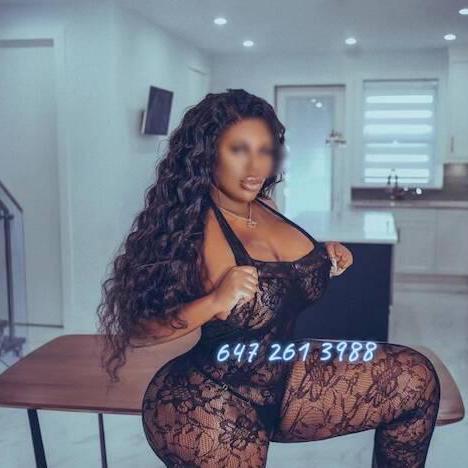 BAYVIEW / 401 - Alexxa is Female Escorts. | Toronto | Ontario | Canada | canadatopescorts.com 