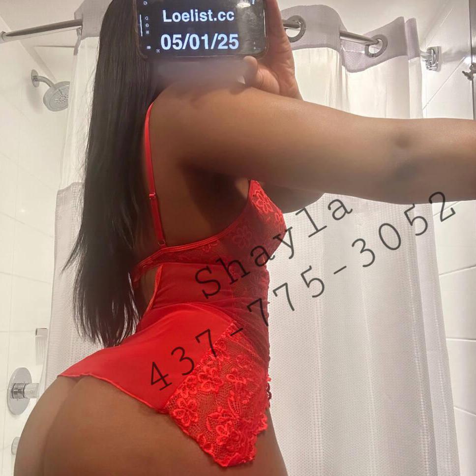 Shayla is Female Escorts. | Calgary | Alberta | Canada | canadatopescorts.com 