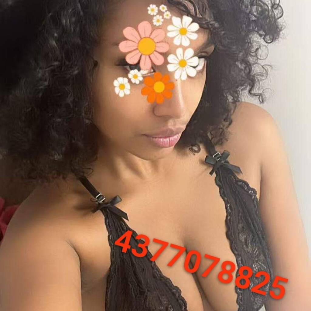 
                        89Holland st E/ Bradford
                     is Female Escorts. | Barrie | Ontario | Canada | canadatopescorts.com 