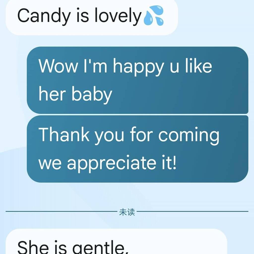 
                        Candy
                     is Female Escorts. | Quebec City | Quebec | Canada | canadatopescorts.com 
