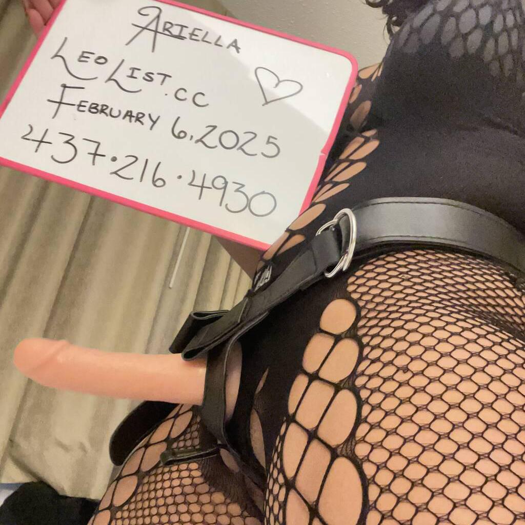 
                        Ariella
                     is Female Escorts. | Hamilton | Ontario | Canada | canadatopescorts.com 