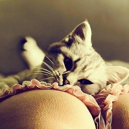 
                        Eva
                     is Female Escorts. | Owen Sound | Ontario | Canada | canadatopescorts.com 