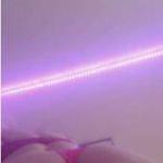 
                        Sunshine
                     is Female Escorts. | Sudbury | Ontario | Canada | canadatopescorts.com 