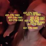 
                        Joey
                     is Female Escorts. | Sudbury | Ontario | Canada | canadatopescorts.com 