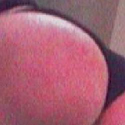 
                        Julia
                     is Female Escorts. | Yellowknife | Northwest Territories | Canada | canadatopescorts.com 