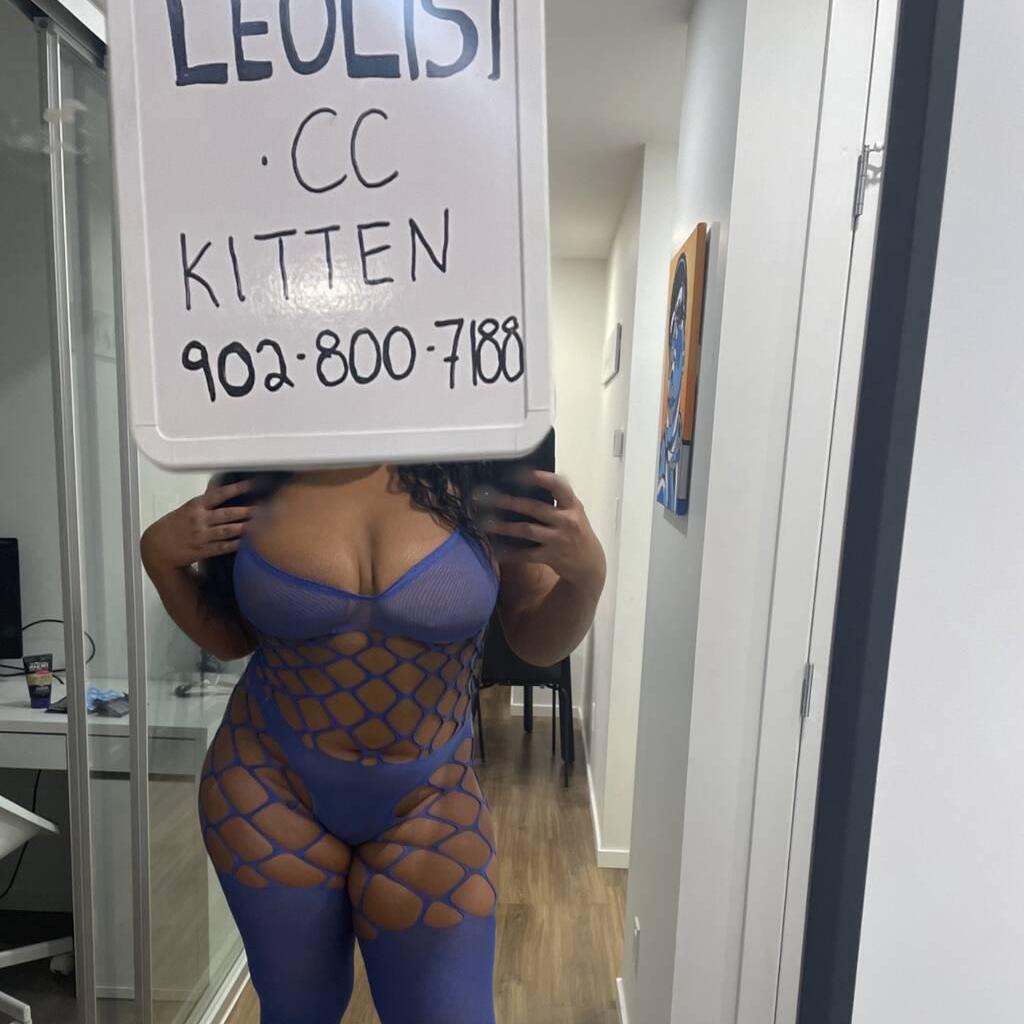 
                        Kitten
                     is Female Escorts. | Chatham | Ontario | Canada | canadatopescorts.com 