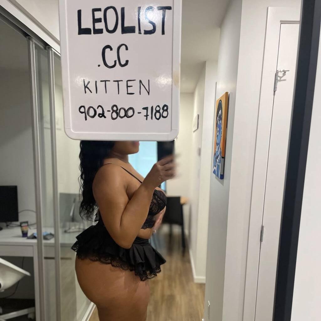 
                        Kitten
                     is Female Escorts. | Chatham | Ontario | Canada | canadatopescorts.com 