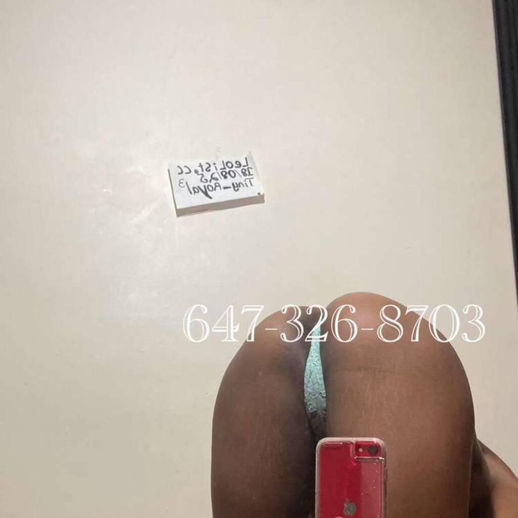 
                        Tiny_royal3
                     is Female Escorts. | Kitchener | Ontario | Canada | canadatopescorts.com 