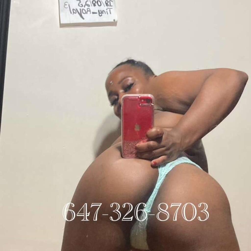 
                        Tiny_royal3
                     is Female Escorts. | Kitchener | Ontario | Canada | canadatopescorts.com 