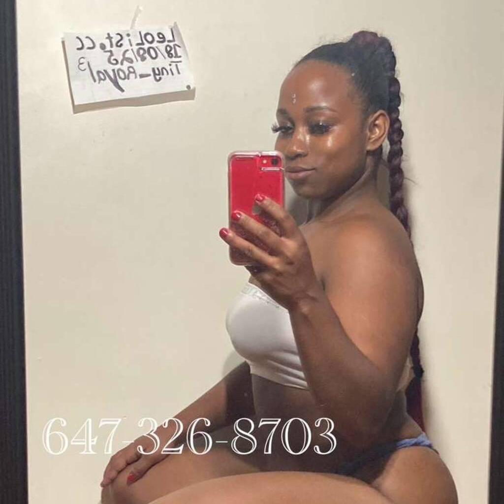 
                        Tiny_royal3
                     is Female Escorts. | Kitchener | Ontario | Canada | canadatopescorts.com 