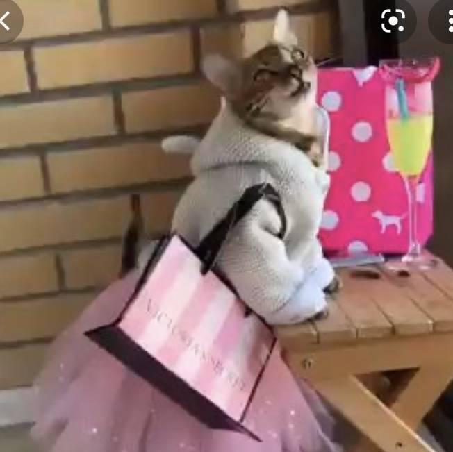 
                        Lexi-Lee
                     is Female Escorts. | Niagara | Ontario | Canada | canadatopescorts.com 