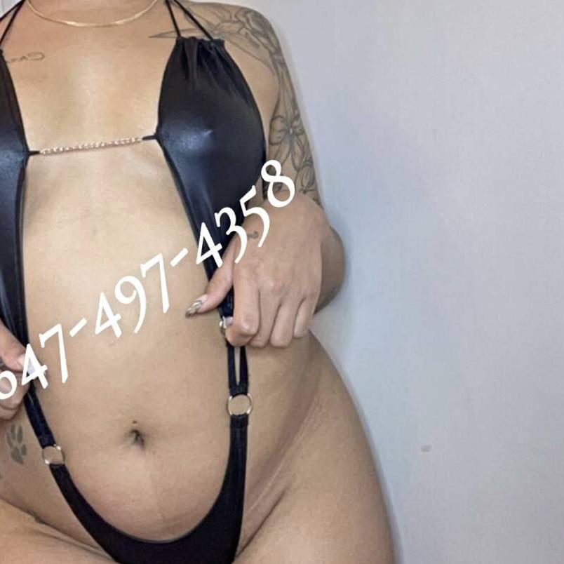 
                        Hazel
                     is Female Escorts. | Sudbury | Ontario | Canada | canadatopescorts.com 