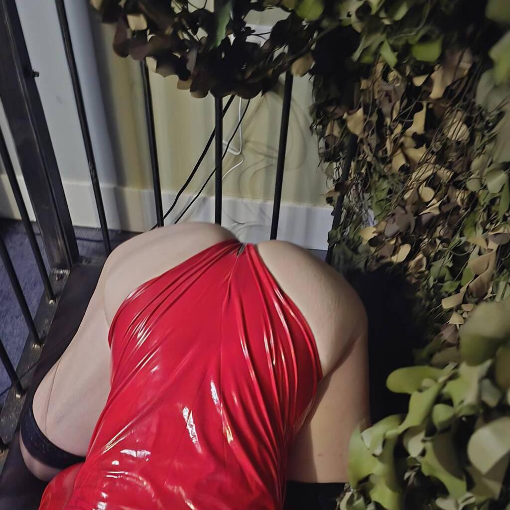 
                        Fiona
                     is Female Escorts. | Winnipeg | Manitoba | Canada | canadatopescorts.com 