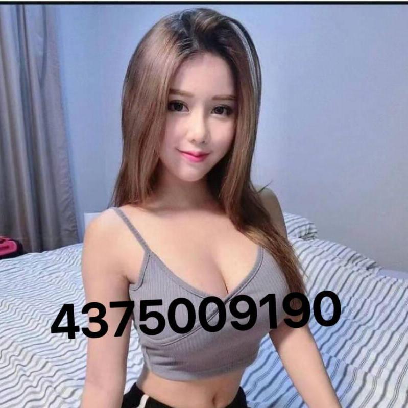 
                        Bobo437-500-9190
                     is Female Escorts. | Niagara | Ontario | Canada | canadatopescorts.com 