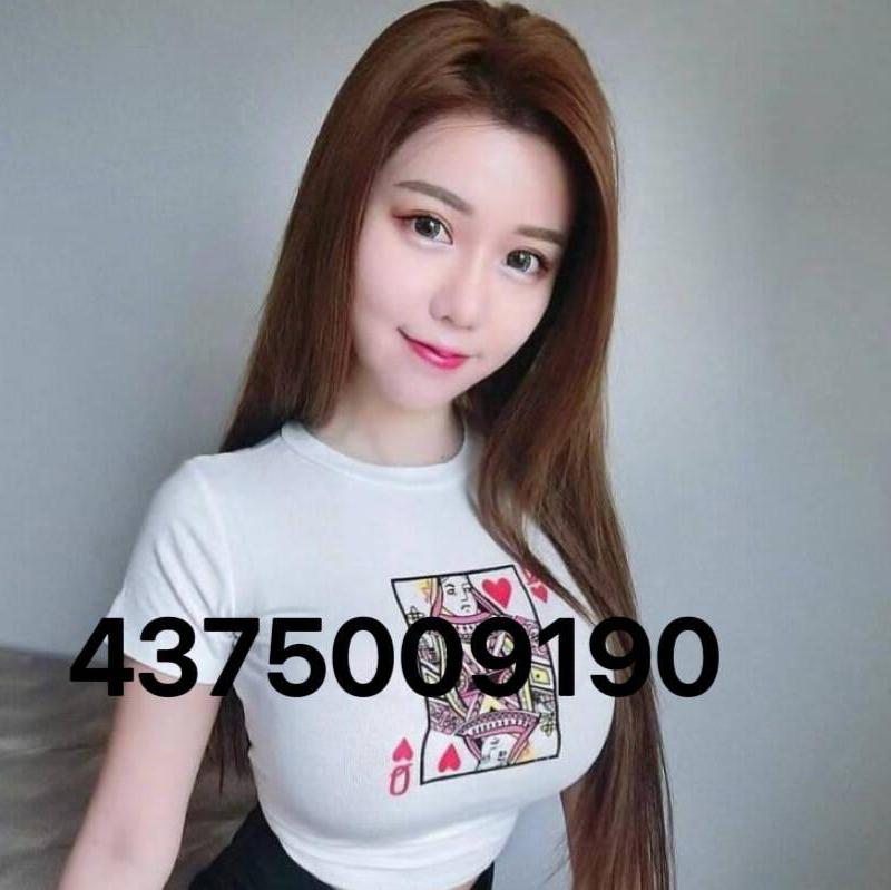 
                        Bobo437-500-9190
                     is Female Escorts. | Niagara | Ontario | Canada | canadatopescorts.com 