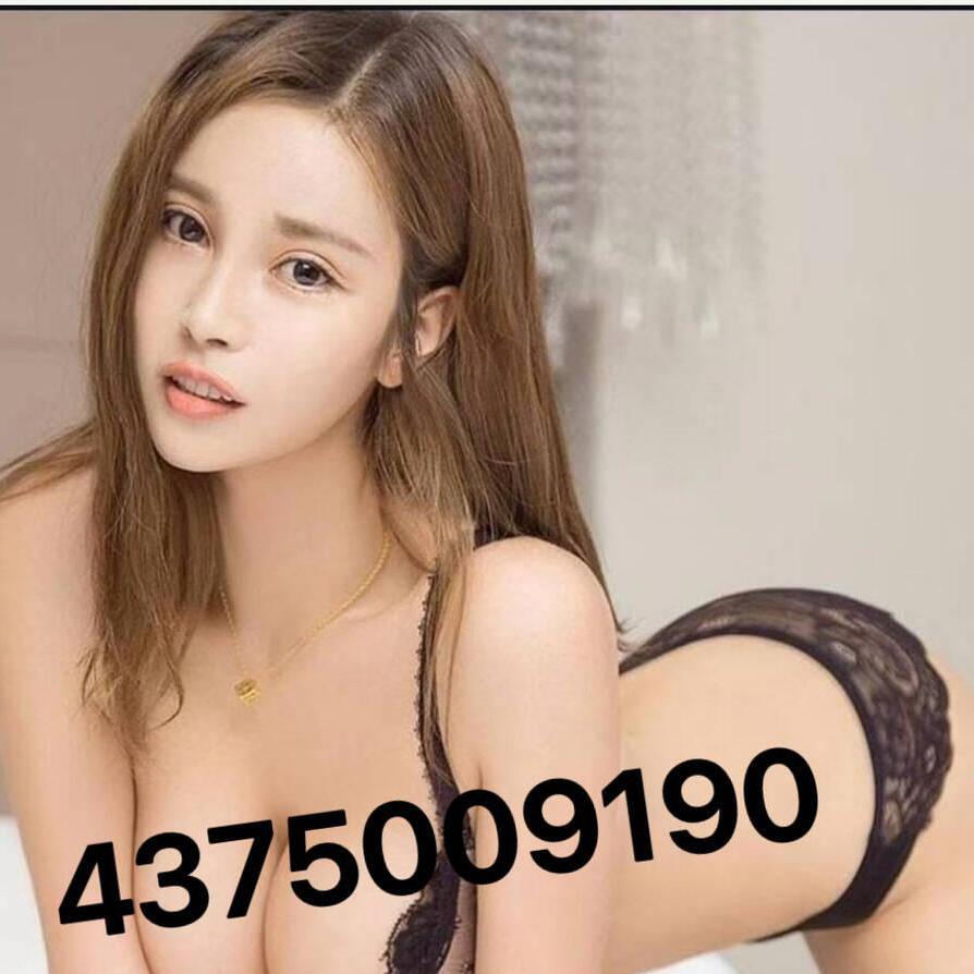 
                        Bobo437-500-9190
                     is Female Escorts. | Niagara | Ontario | Canada | canadatopescorts.com 
