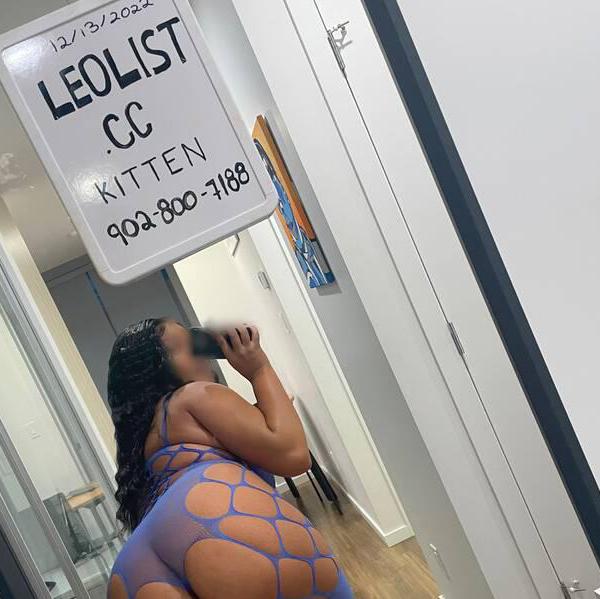 
                        Kitten
                     is Female Escorts. | Calgary | Alberta | Canada | canadatopescorts.com 