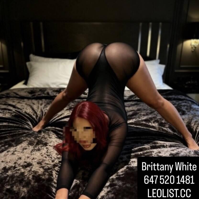 
                        Brittany 647.520.1481
                     is Female Escorts. | windsor | Ontario | Canada | canadatopescorts.com 