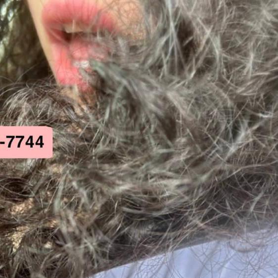 
                        Jazmine
                     is Female Escorts. | Quebec City | Quebec | Canada | canadatopescorts.com 