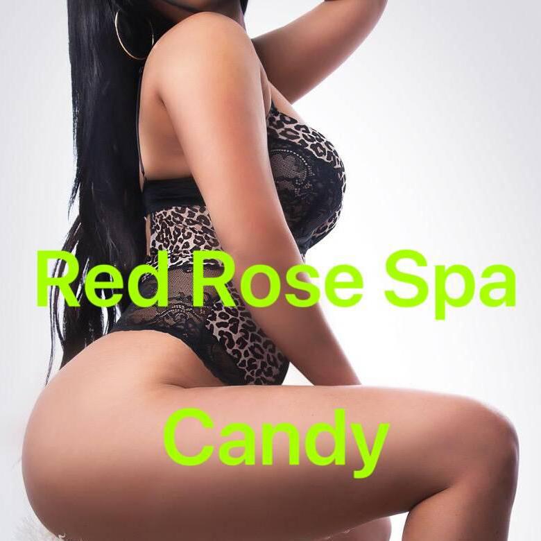 
                        Red Rose Spa
                     is Female Escorts. | Toronto | Ontario | Canada | canadatopescorts.com 
