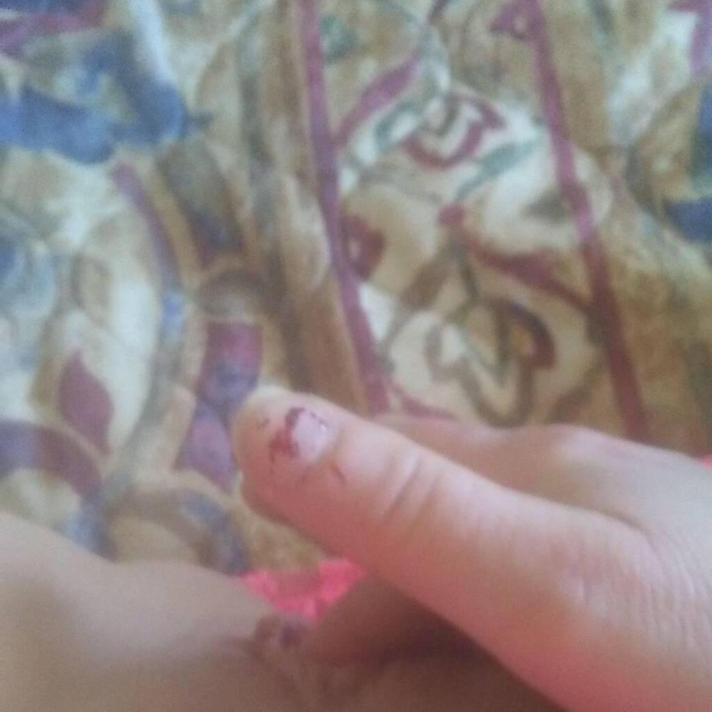 
                        Mell
                     is Female Escorts. | Toronto | Ontario | Canada | canadatopescorts.com 