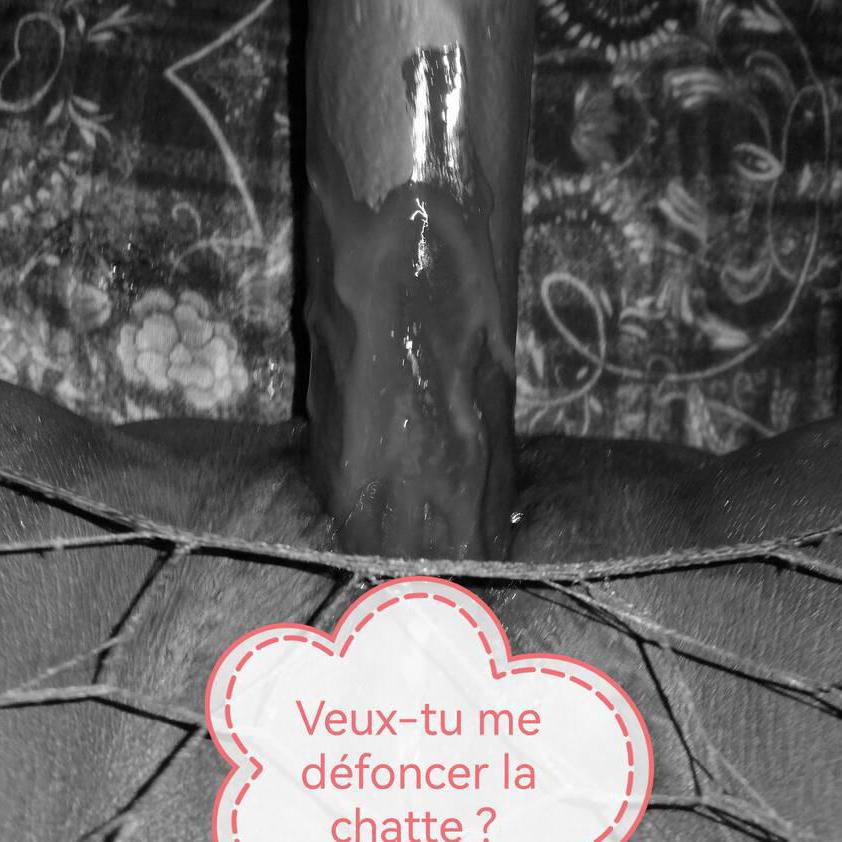 
                        LaGazelle
                     is Female Escorts. | Montreal | Quebec | Canada | canadatopescorts.com 