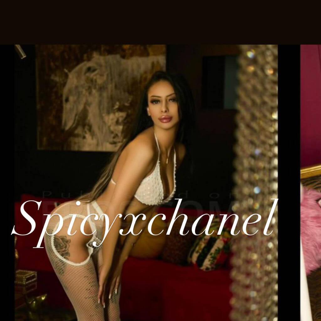 
                        Celine Calvino
                     is Female Escorts. | Barrie | Ontario | Canada | canadatopescorts.com 