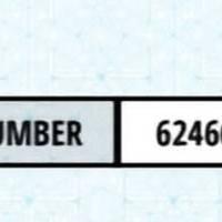 
                        Diamond Rose
                     is Female Escorts. | Grande Prairie | Alberta | Canada | canadatopescorts.com 