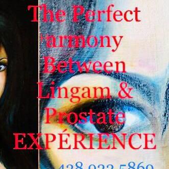 
                        VÉRIFIED EXPERIENCE PRIVE
                     is Female Escorts. | Montreal | Quebec | Canada | canadatopescorts.com 