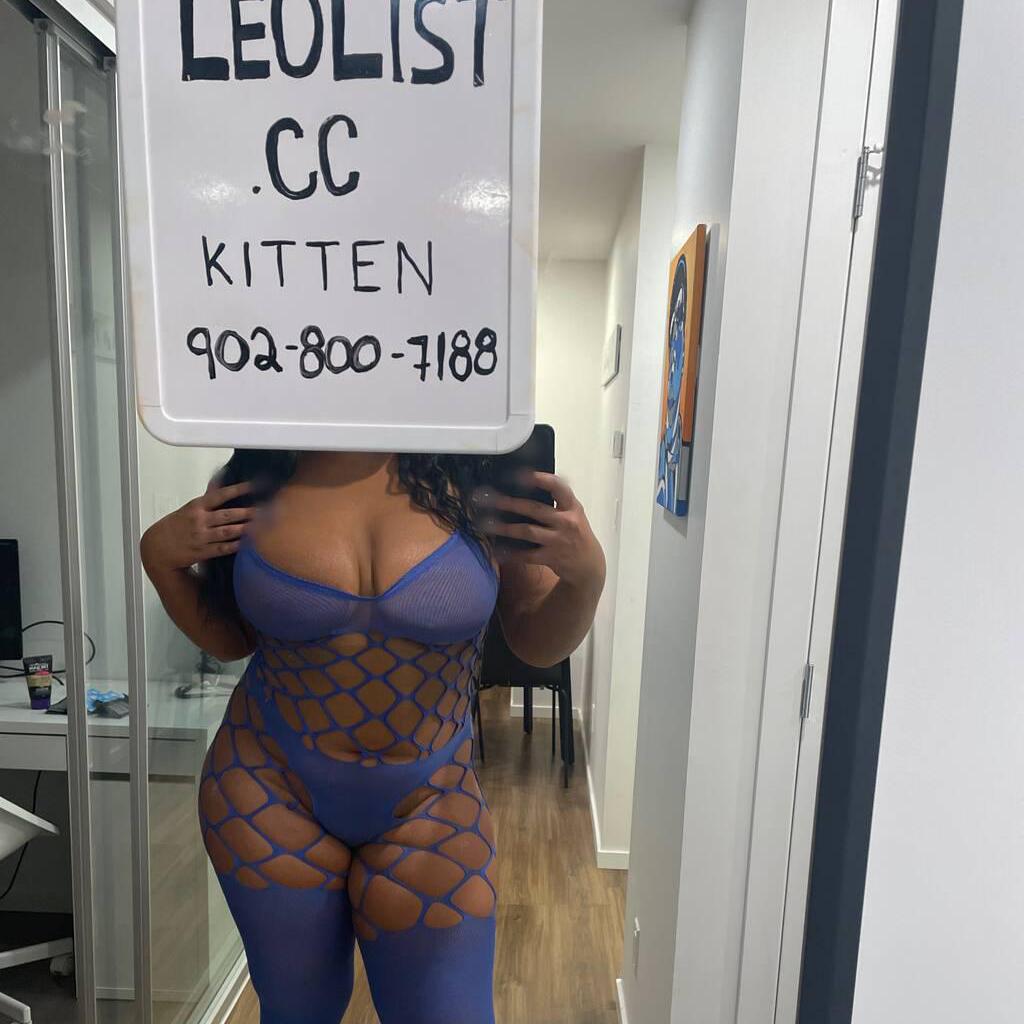 
                        Kitten
                     is Female Escorts. | Calgary | Alberta | Canada | canadatopescorts.com 