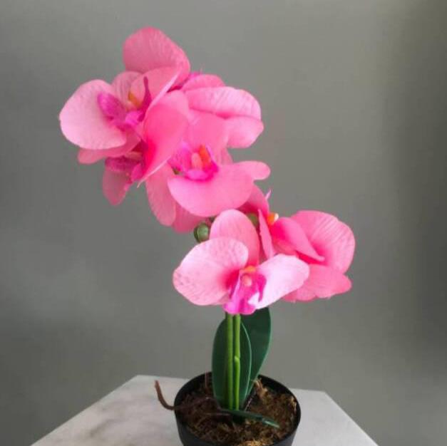 
                        Cherry ( Merritt)
                     is Female Escorts. | Kamloops | British Columbia | Canada | canadatopescorts.com 