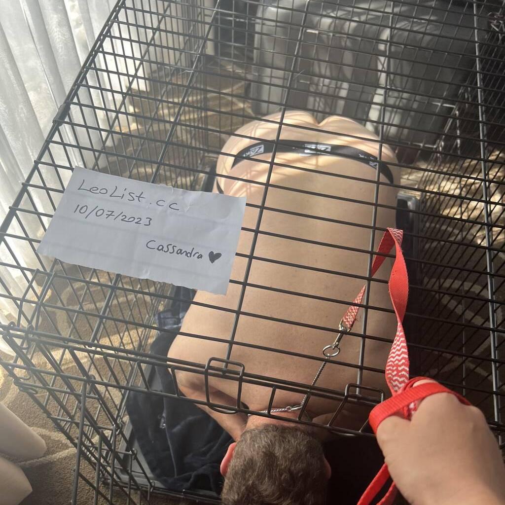 
                        cassandra
                     is Female Escorts. | windsor | Ontario | Canada | canadatopescorts.com 