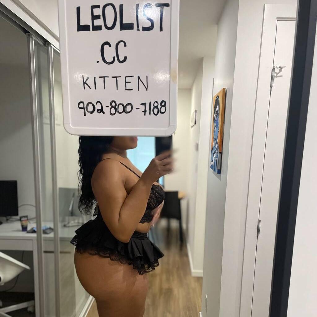 
                        Kitten
                     is Female Escorts. | Red Deer | Alberta | Canada | canadatopescorts.com 