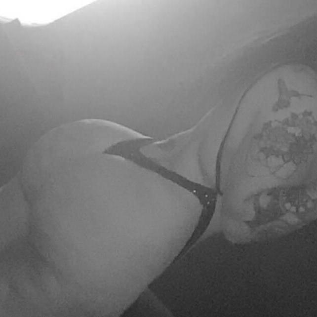 
                        Liyah
                     is Female Escorts. | Calgary | Alberta | Canada | canadatopescorts.com 