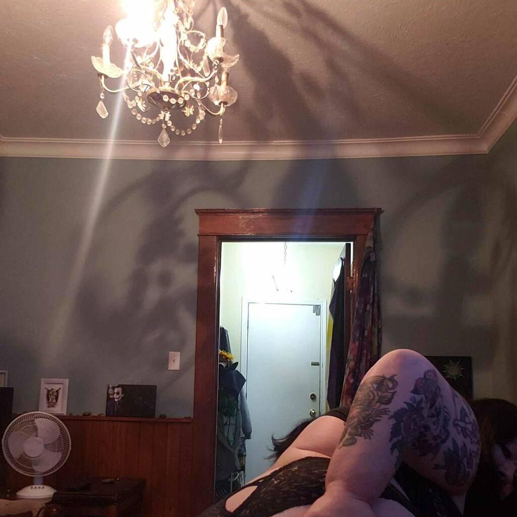 
                        Misstress Kitty
                     is Female Escorts. | Kitchener | Ontario | Canada | canadatopescorts.com 