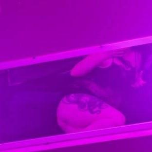 
                        Wynter Ross
                     is Female Escorts. | Kitchener | Ontario | Canada | canadatopescorts.com 