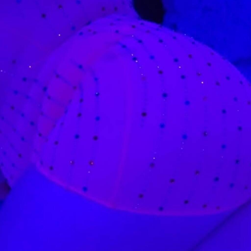 
                        Bubbles
                     is Female Escorts. | Kingston | Ontario | Canada | canadatopescorts.com 