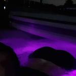 
                        AbbY
                     is Female Escorts. | Sudbury | Ontario | Canada | canadatopescorts.com 
