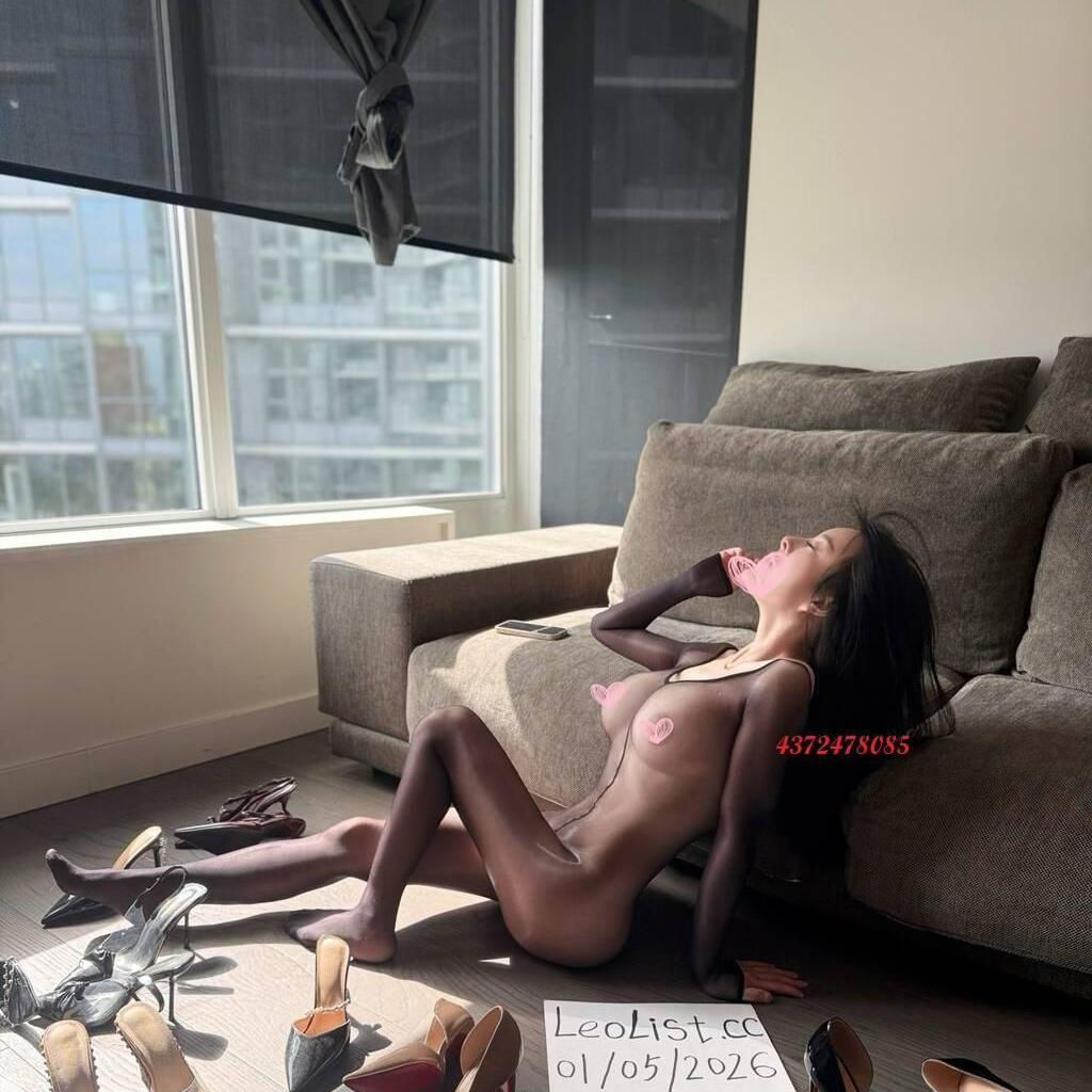 
                        JEN4372478085
                     is Female Escorts. | Prince Albert | Saskatchewan | Canada | canadatopescorts.com 