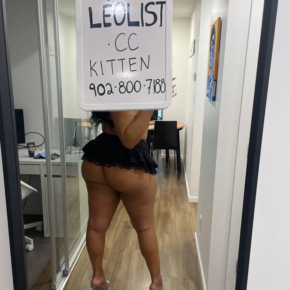 
                        Kitten
                     is Female Escorts. | Moncton | New Brunswick | Canada | canadatopescorts.com 