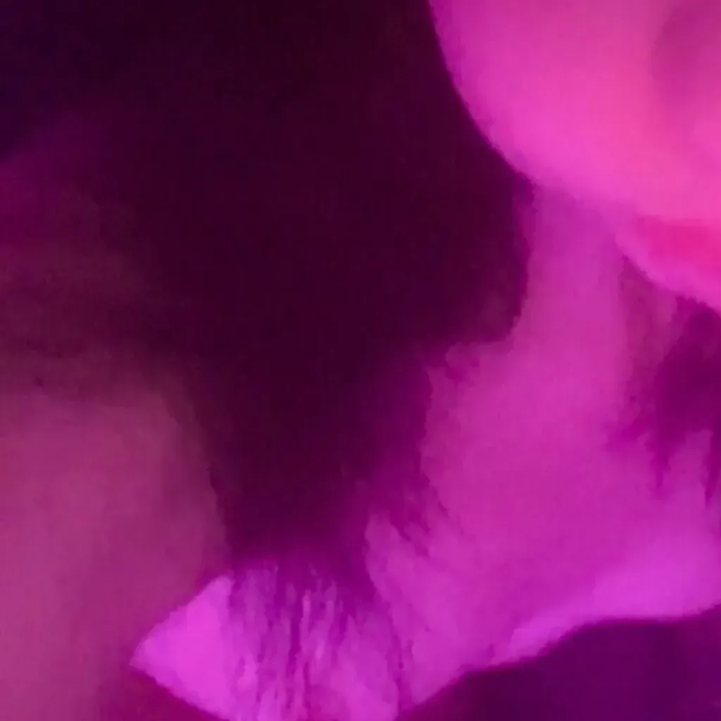 
                        Kai
                     is Female Escorts. | Quebec City | Quebec | Canada | canadatopescorts.com 