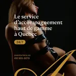 
                        Aventurière
                     is Female Escorts. | Saguenay | Quebec | Canada | canadatopescorts.com 