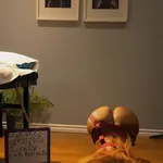 
                        Lorely
                     is Female Escorts. | Kingston | Ontario | Canada | canadatopescorts.com 