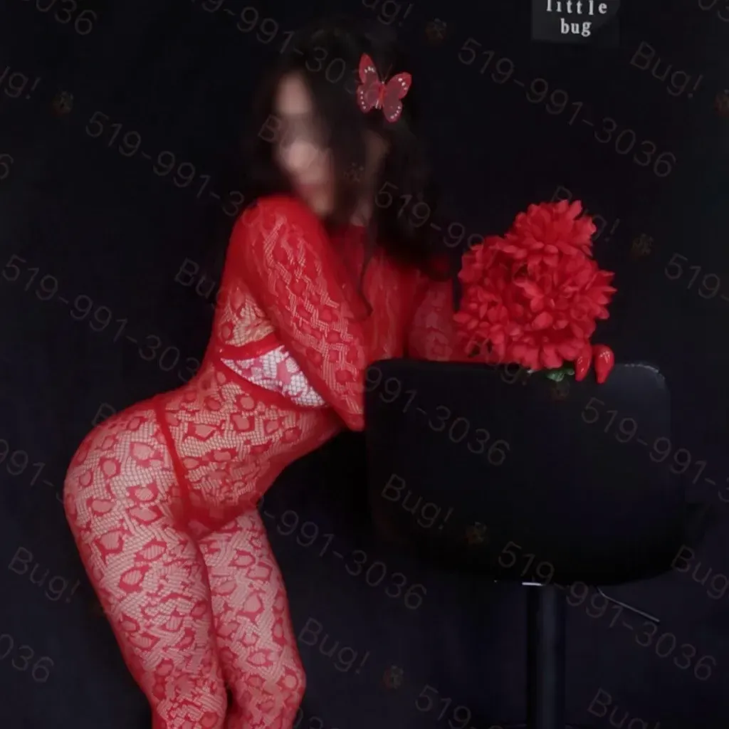 
                        Bug
                     is Female Escorts. | Sarnia | Ontario | Canada | canadatopescorts.com 